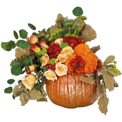Calabaza Otoño